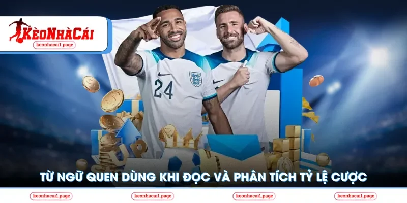 Từ ngữ quen dùng khi phân tích