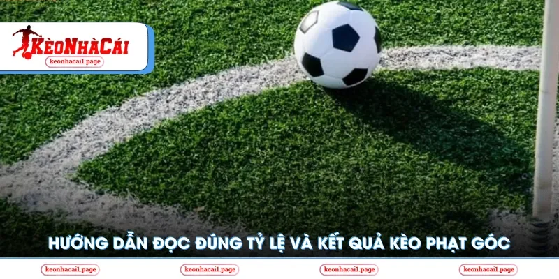 Hướng dẫn đọc đúng tỷ lệ và kết quả kèo phạt góc