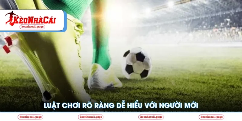 Luật chơi rõ ràng, dễ hiểu với người mới